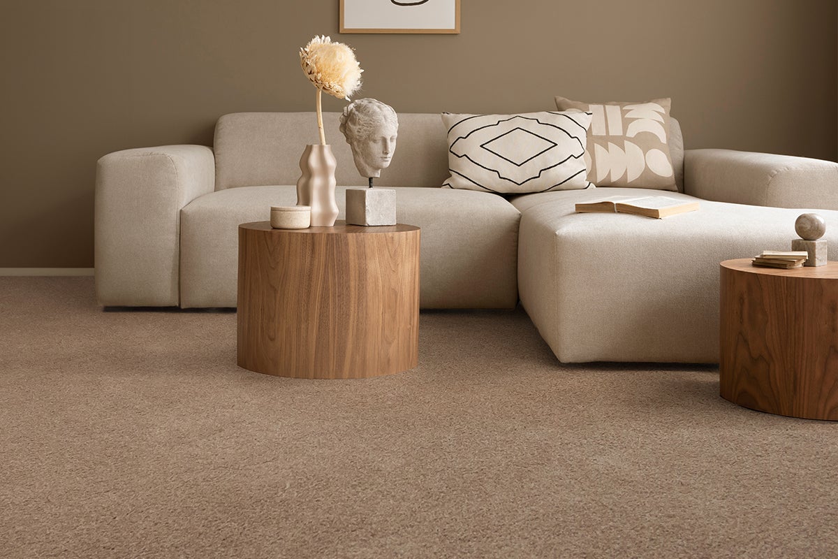 brown_carpet_living_room