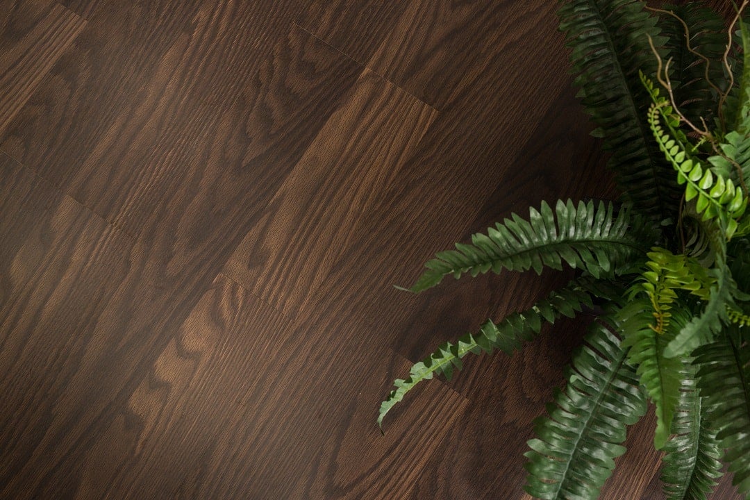 SEO-Trends-dark-moody-4