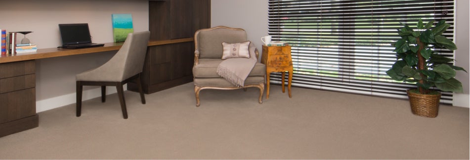 Office - Carpet